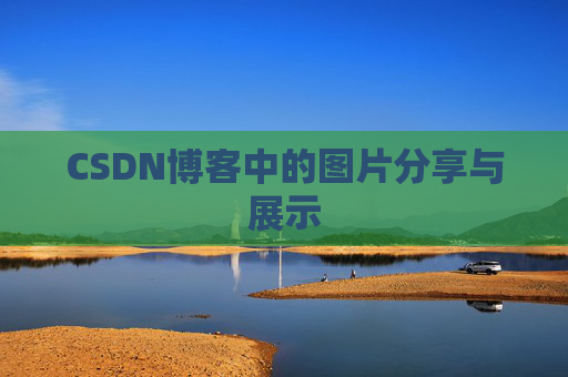 CSDN博客中的图片分享与展示